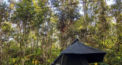 HAWAIIAN OVERLANDERS 4WD FJ CAMPER!