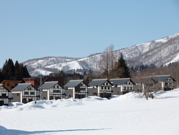 A row of traditional wooden houses with a snowy landscape and mountains in the background. - Nagomiya Hirugano (Gujo)