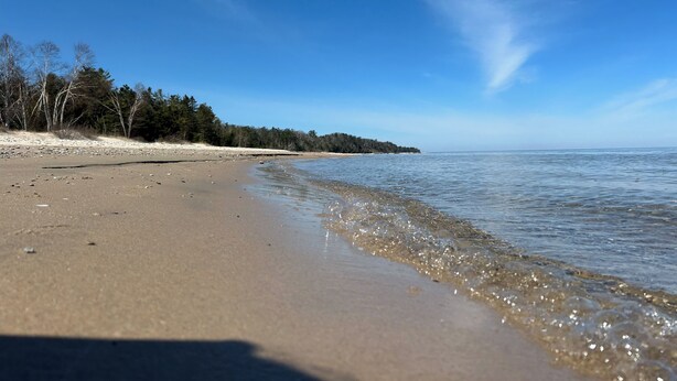 Una platja amb sorra, aigua tranquil·la i una filera d'arbres al fons.
