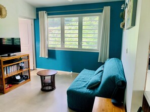 TV, DVD player, table tennis, books