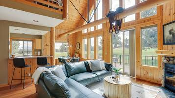 TV, fireplace, books