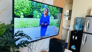 Un televisor montado en un mueble blanco con puertas amarillas, una planta en maceta y un dispensador de agua en una cocina moderna.