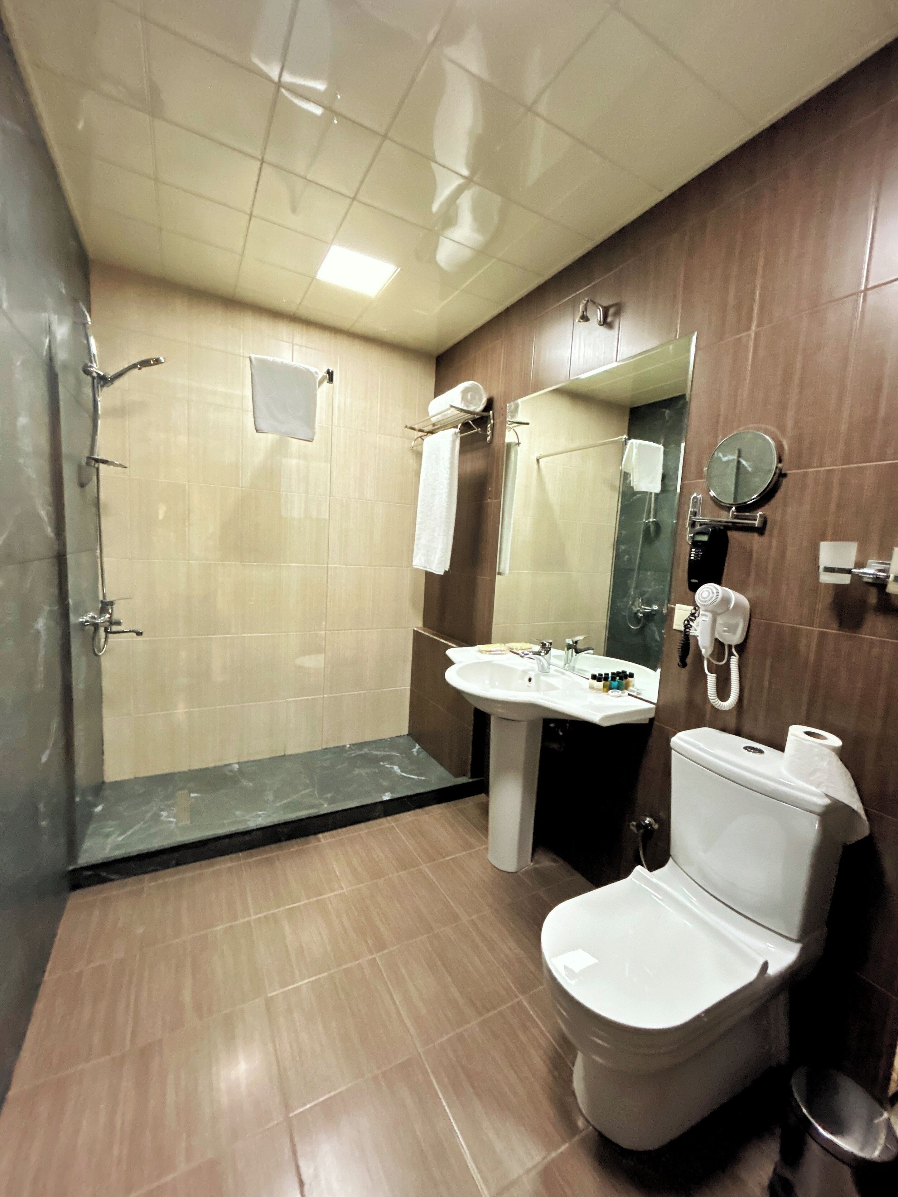 Een badkamer met een douche, wastafel, toilet en spiegel.