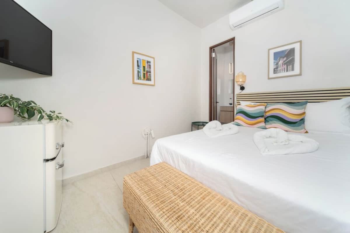 A hotel room with a bed, a TV, a plant, a bench, and a door.
