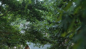 Une cabane en bois avec une véranda, un petit escalier et une terrasse.