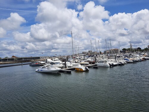 2 minutes from the Bassin d'Arcachon, new timber-frame extension with garden.
