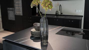 KĂŒhlschrank, Ofen, Herdplatte, GeschirrspĂŒler