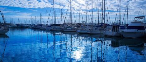 Apartment, 1 Bedroom, Smoking, Patio | Marina