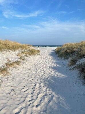 Un sentier de sable qui longe la plage et mène à l’océan, bordé de dunes.