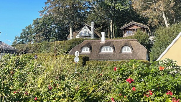 A traditional house with a thatched roof, surrounded by lush greenery and trees.