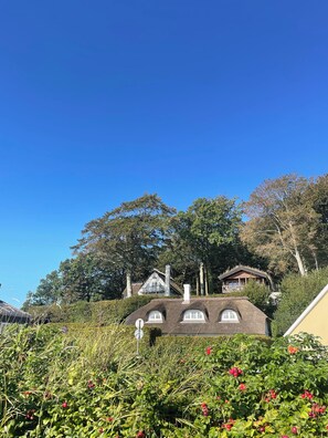 A traditional house with a thatched roof, surrounded by lush greenery and trees.
