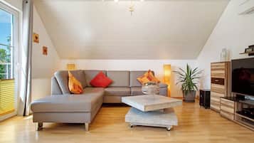 TV, DVD player, table tennis, stereo