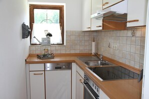 Fridge, oven, stovetop, dishwasher - Apartment 'Arnika' with Mountain View, Private Terrace and Wi-Fi (Grainau)