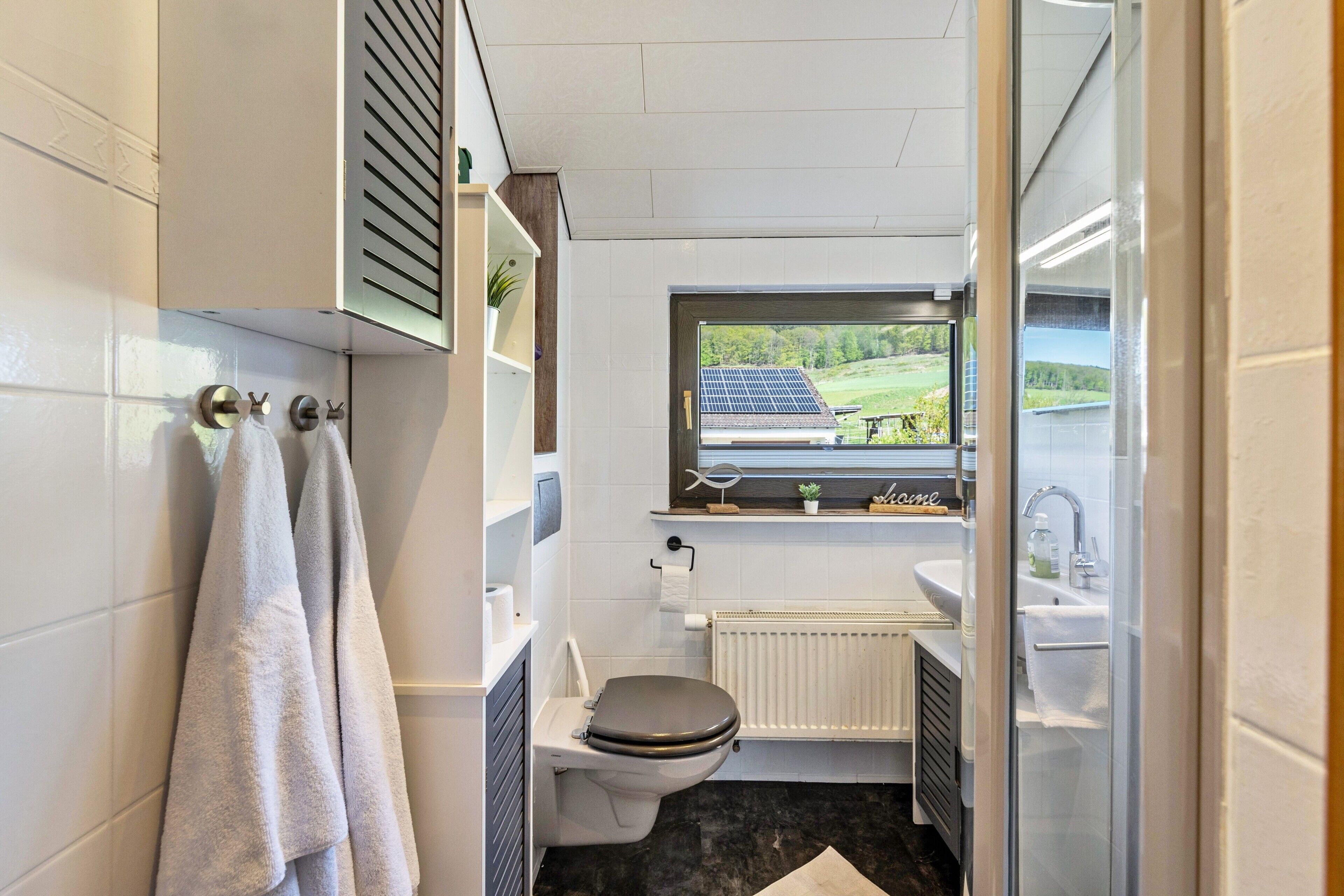 Shower, hair dryer, towels