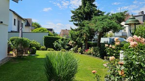 Een tuin met gazon, verschillende planten en een hoge naaldboom.