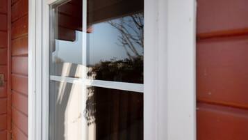 Ein Fenster mit weißem Rahmen, eine Baumreflexion und ein Blick auf ein rotes Gebäude.