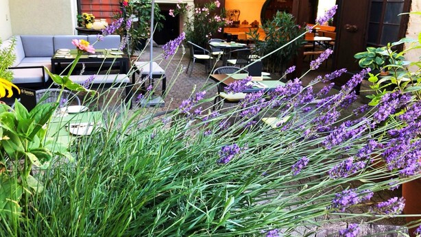 An outdoor seating area with tables and chairs, surrounded by potted plants and lavender. - Double Room 6 with Wi-Fi (Haslach im Kinzigtal)