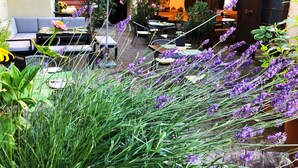 An outdoor seating area with tables and chairs, surrounded by potted plants and lavender. - Double Room 2 with Balcony and Wi-Fi (Haslach im Kinzigtal)
