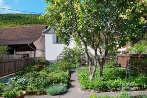 Property grounds - Holiday Home 'Hildahüsli' with Shared Terrace, Shared Garden and Wi-Fi (Badenweiler)