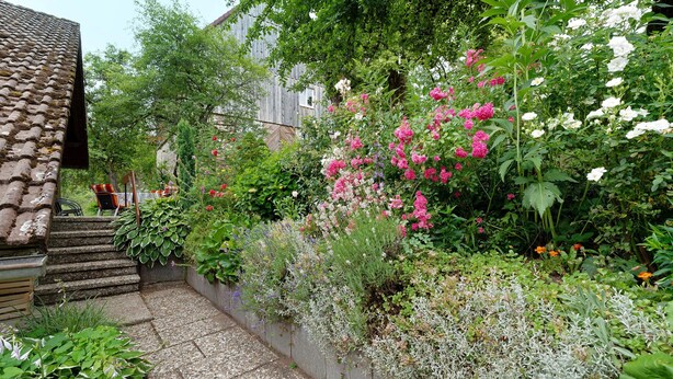 Un jardín con un sendero de piedra, un banco de madera y diversas plantas florecientes.