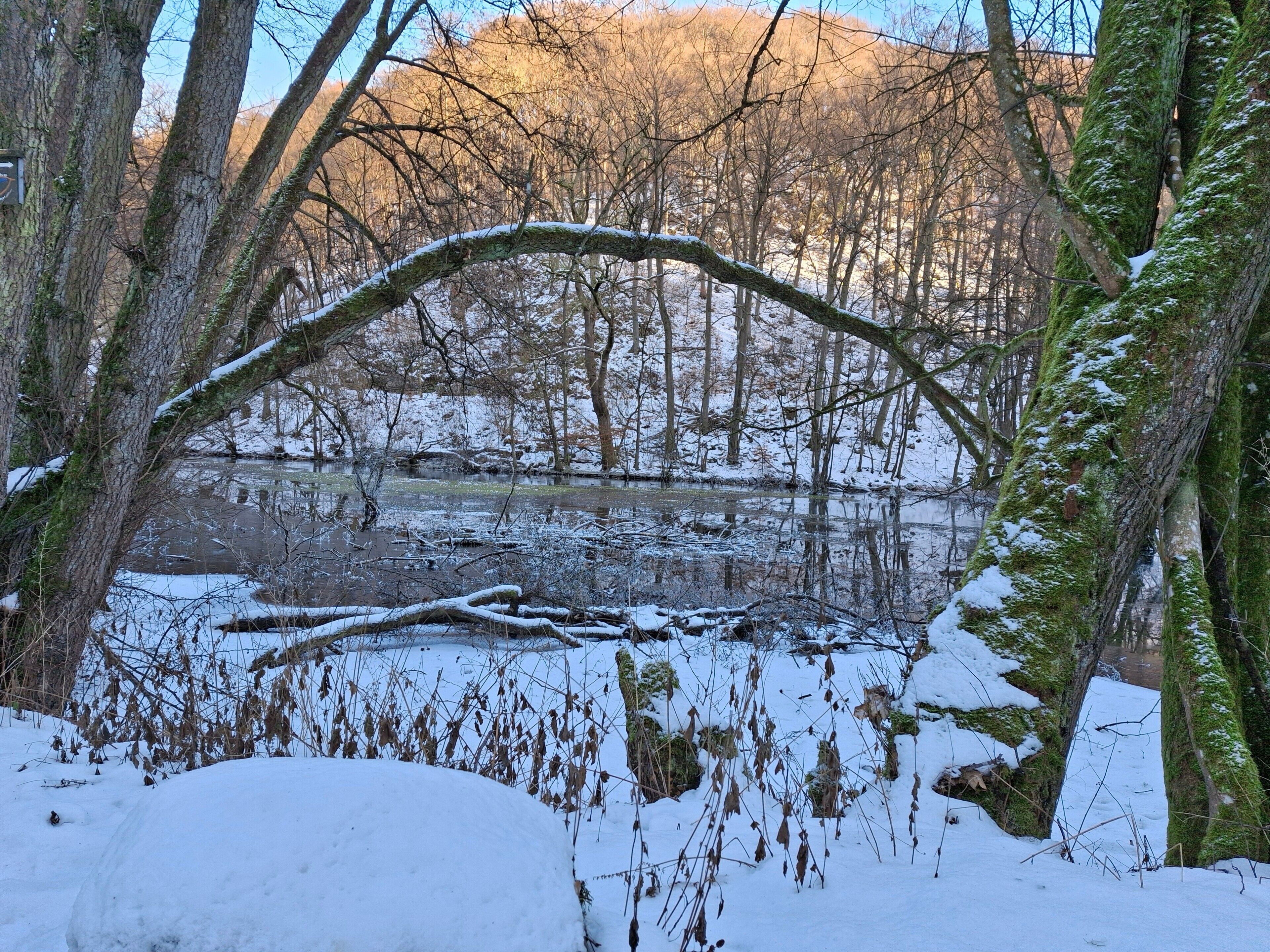 A snow-covered landscape with a natural arch over a body of water, surrounded by trees and a distant mountain.