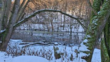 A snow-covered landscape with a natural arch over a body of water, surrounded by trees and a distant mountain.