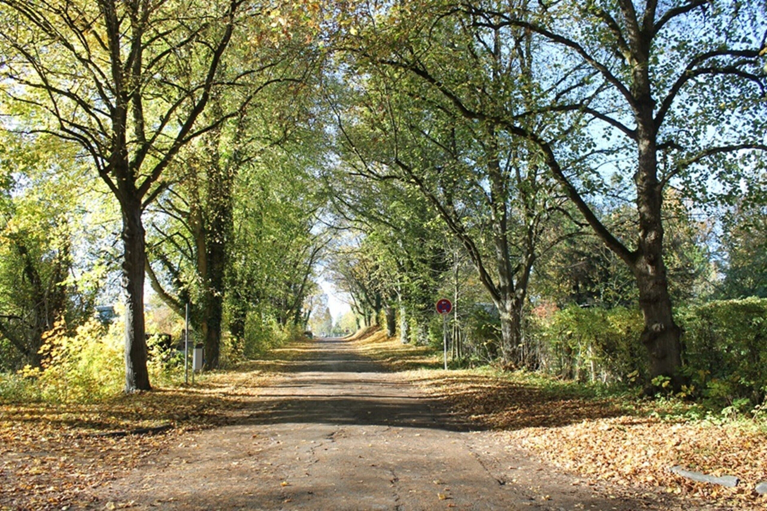Eine von Bäumen gesäumte Straße mit einem Verbotsschild.