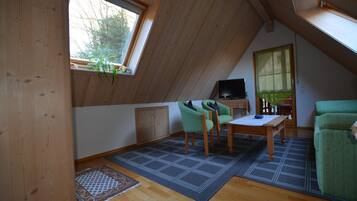 Fernseher