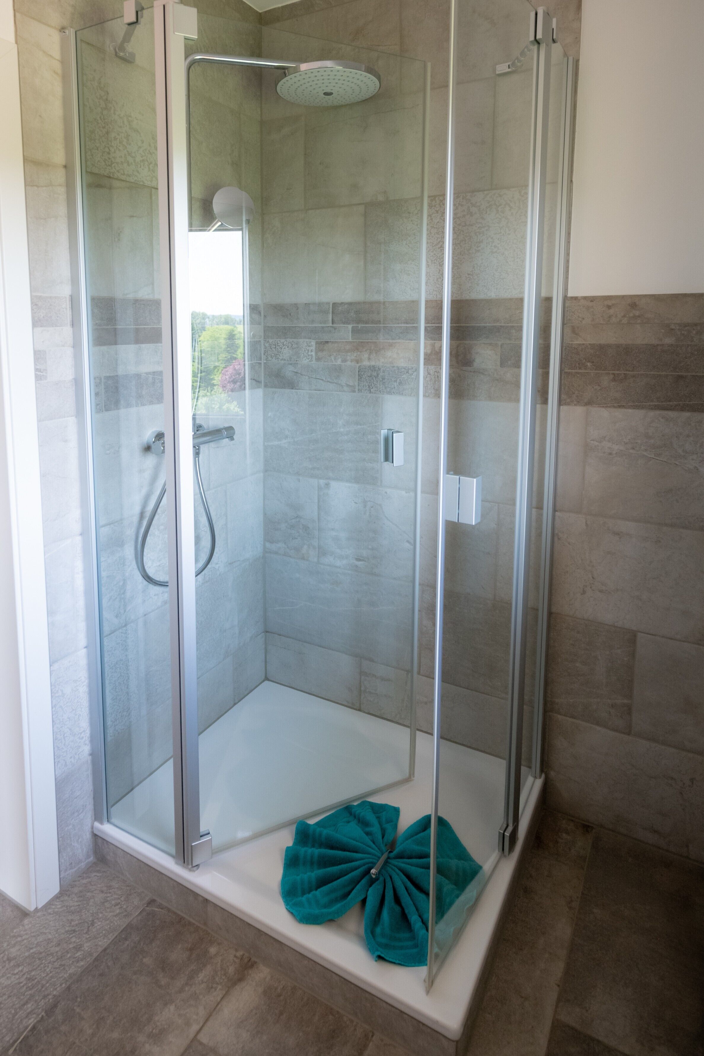 Shower, hair dryer, towels