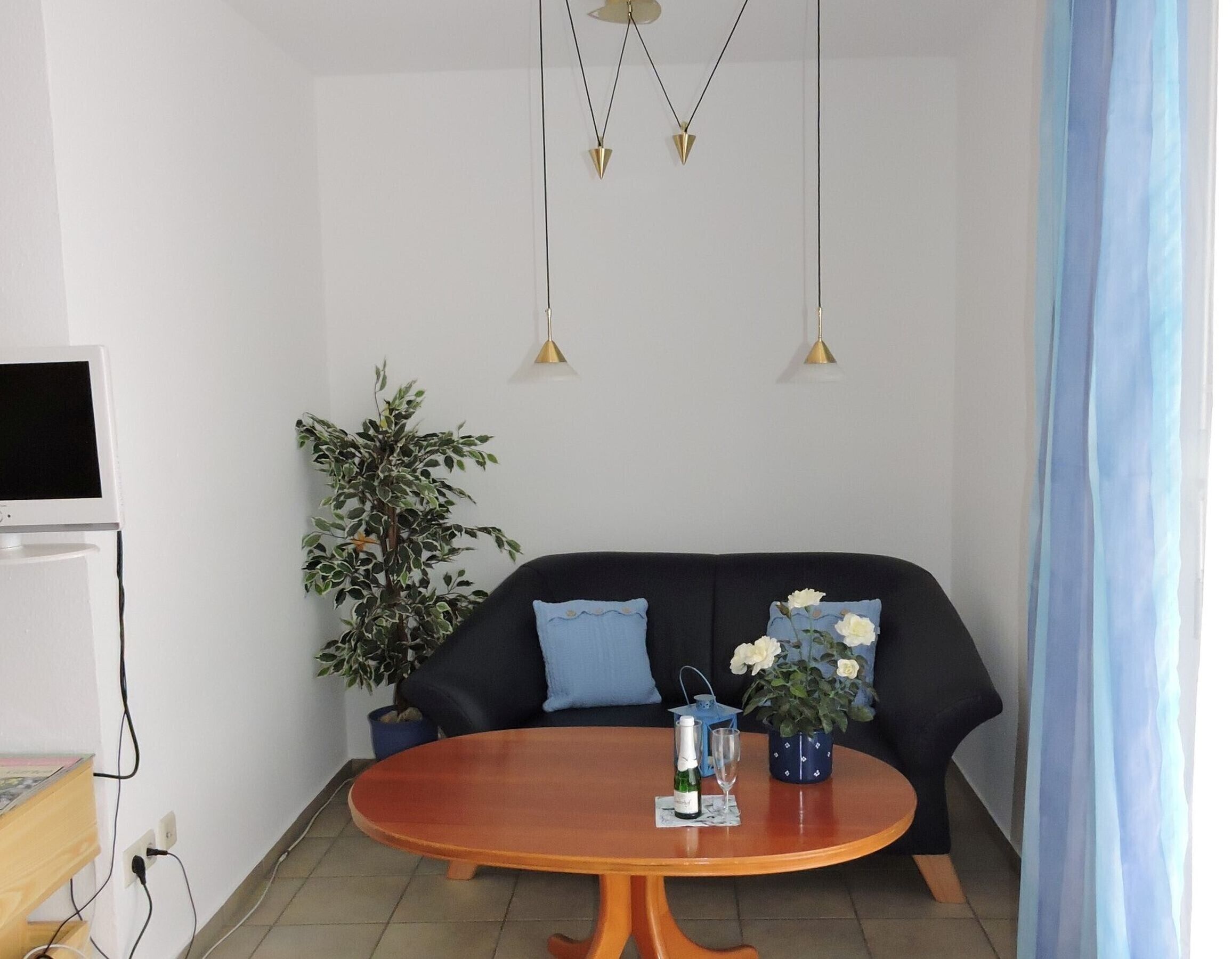Quarto com sofá preto, mesa de madeira com uma garrafa e um copo, planta em vaso e televisão à esquerda.