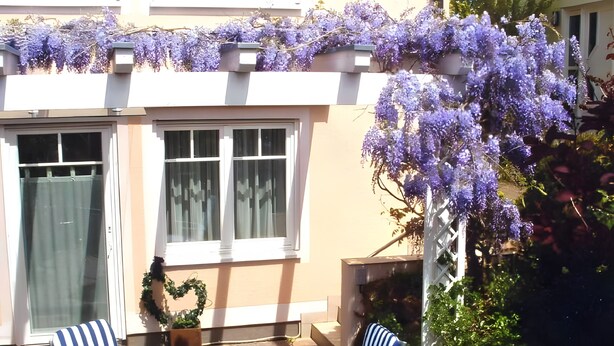 Un patio con dos sillas a rayas, una mesa con un jarrón de flores y enredaderas moradas en flor.