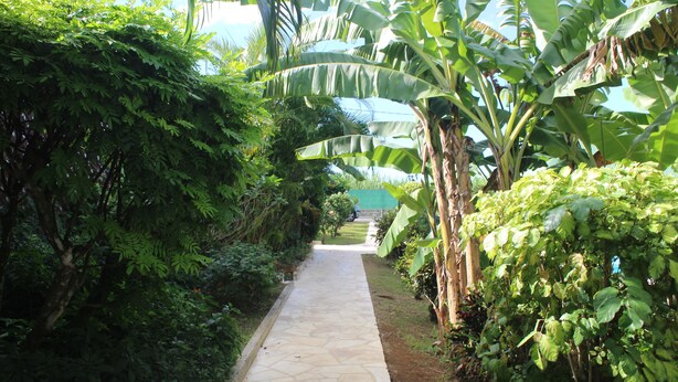 Property grounds - cottages with swimming pool and Spa 900 m from the sea (Sainte-Rose)