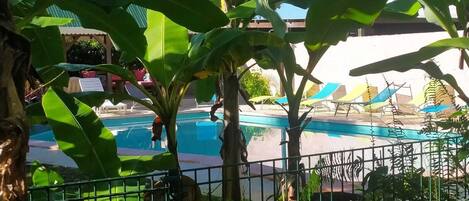 Relax by the pool surrounded by lush greenery and banana trees.
