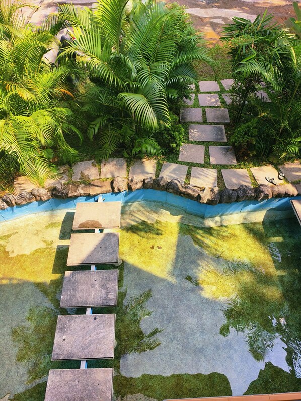 Vista desde la habitación