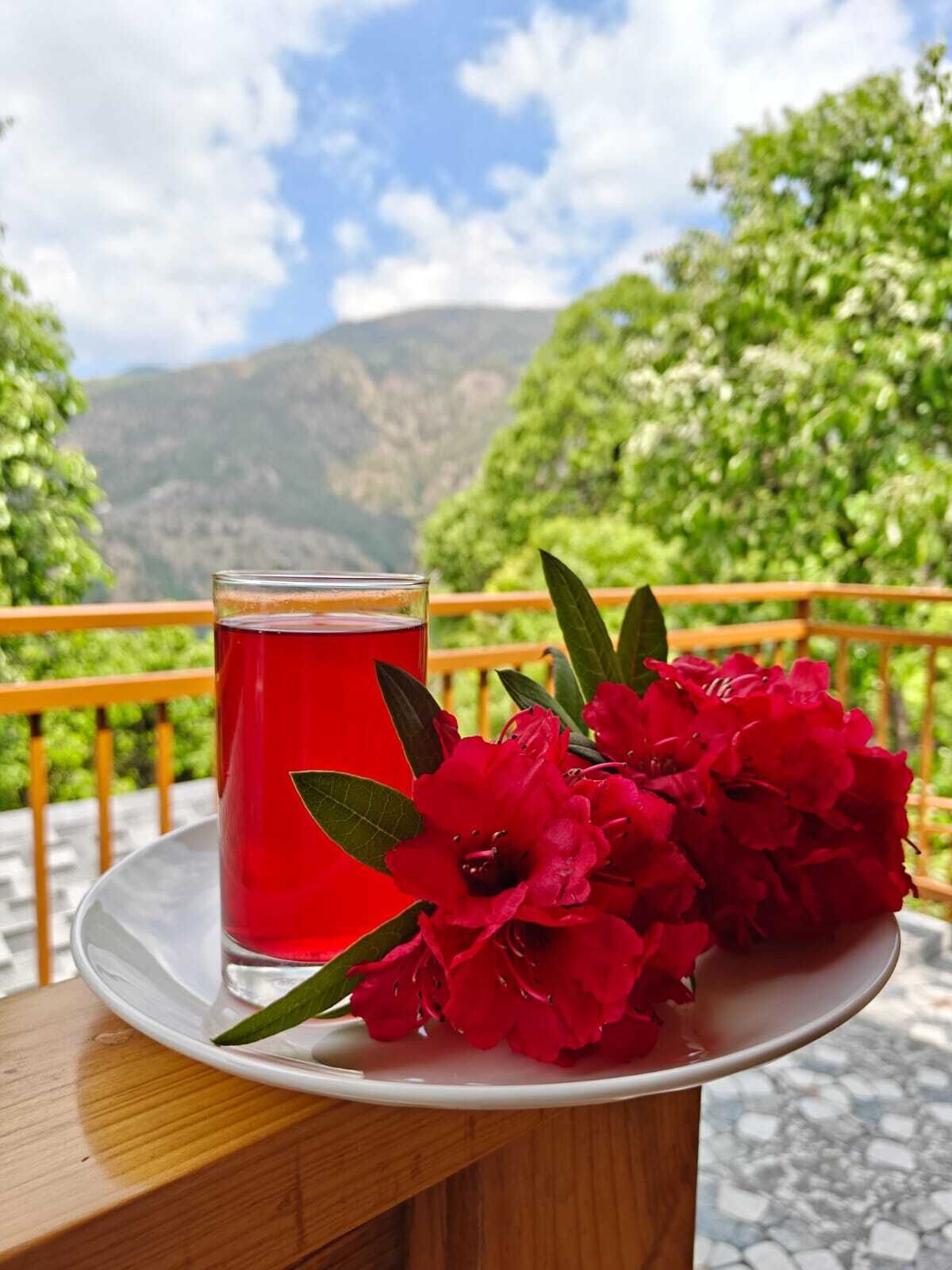 Ein Glas roter Flüssigkeit auf einem weißen Teller, daneben rote Blumen, auf einem Balkon mit Blick auf die Berge.