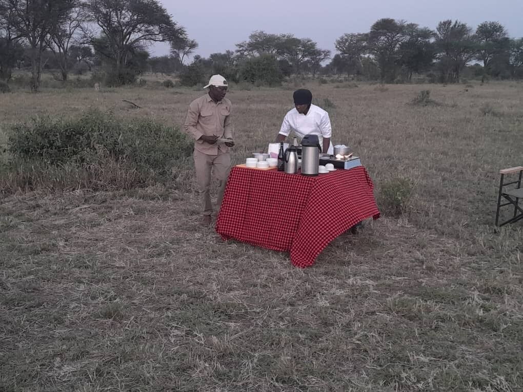 Una mesa con diversos objetos en un campo abierto.