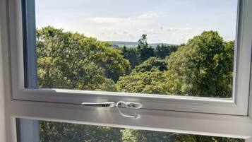 Single Room, Non Smoking | Blackout drapes, free WiFi