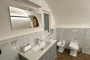Shower, hair dryer, bidet, towels