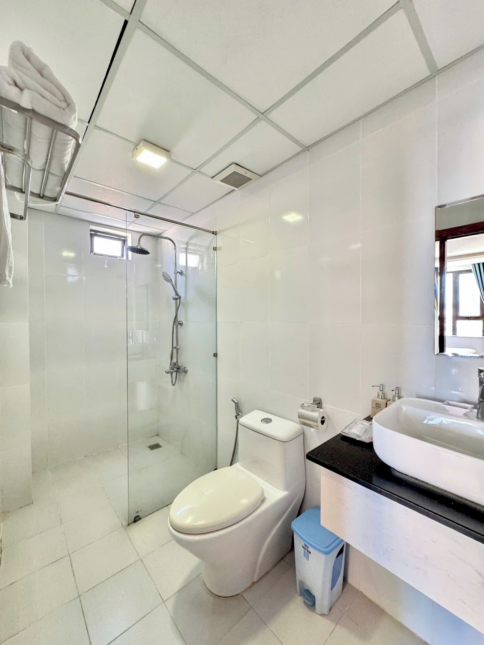 A modern bathroom with a glass-enclosed shower, a toilet, and a sink with a mirror.