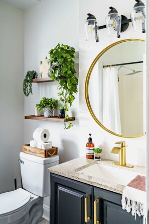 Regadera, amenidades de baño ecológicas, secadora de cabello, toallas 