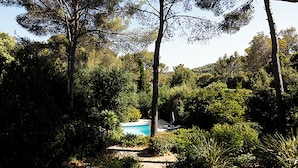 Ein Pool, umgeben von dichtem Grün und Bäumen.
