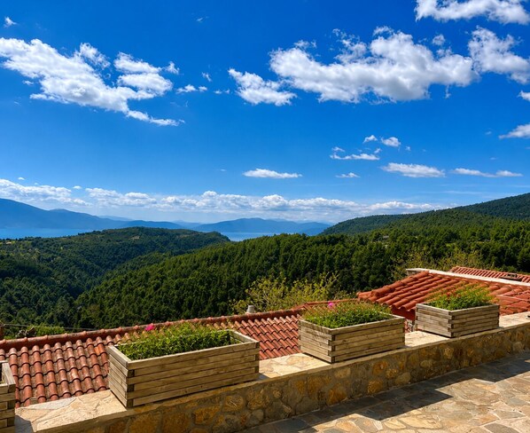 Una terraza con tejas de terracota, paredes de piedra y macetas de madera con follaje.