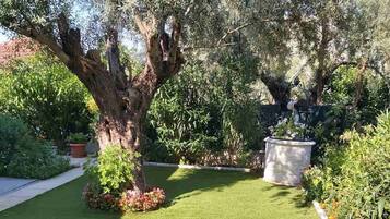 House | 3 bedrooms, desk