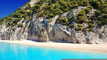 Apartment | 4 bedrooms