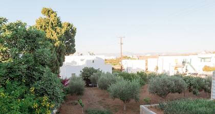Naousa Central House Paros