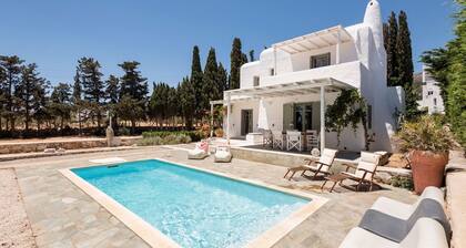 Sun Drop I With Private Pool Drios Beach Paros