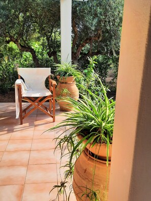 A patio with a wooden chair, terracotta pots with plants, and a white pillar.