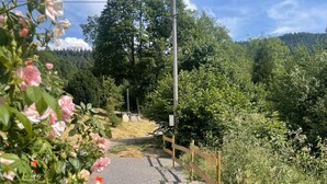 Un sendero de grava serpentea por un jardín con flores rosadas y rojas, rodeado de follaje y árboles.