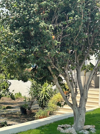 Exterior. PORTA MARINA RESORT