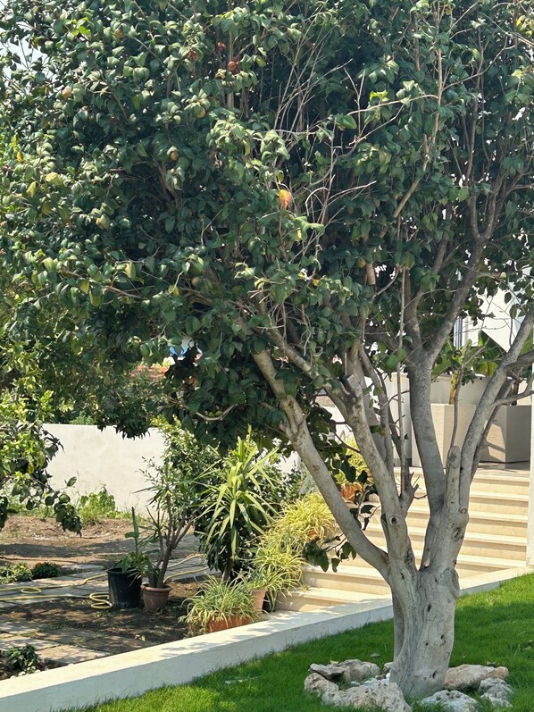Exterior - PORTA MARINA RESORT (Pompei)